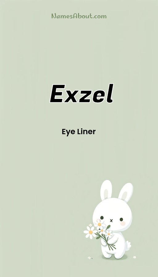 Meaning of Exzel