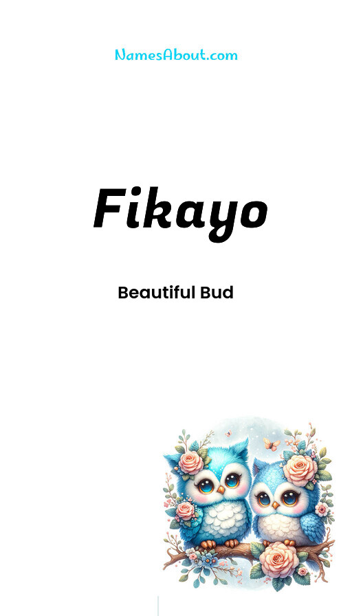 Meaning of Fikayo