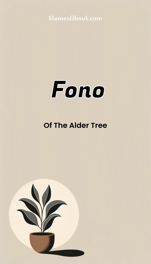 Meaning of Fono