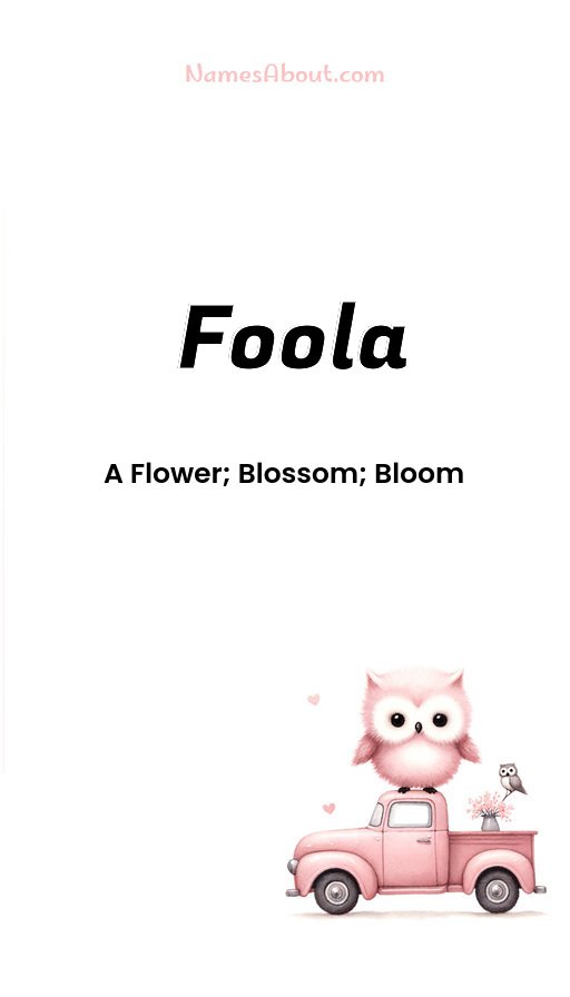 Meaning of Foola