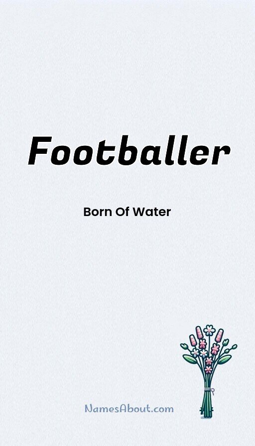 Meaning of Footballer