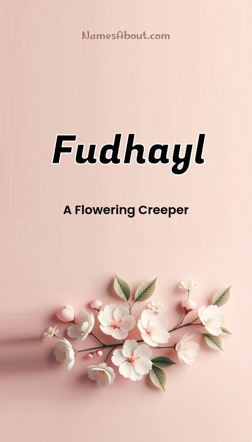 Meaning of Fudhayl