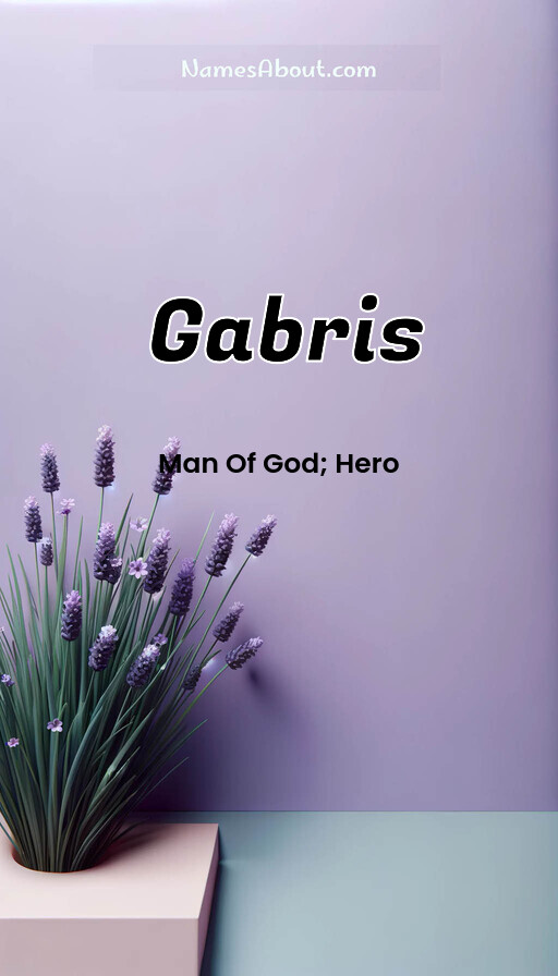 Meaning of Gabris