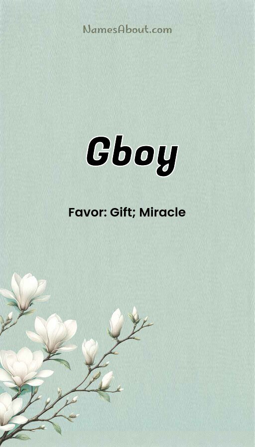 Meaning of Gboy