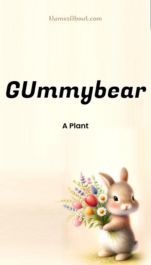 Meaning of Gummybear