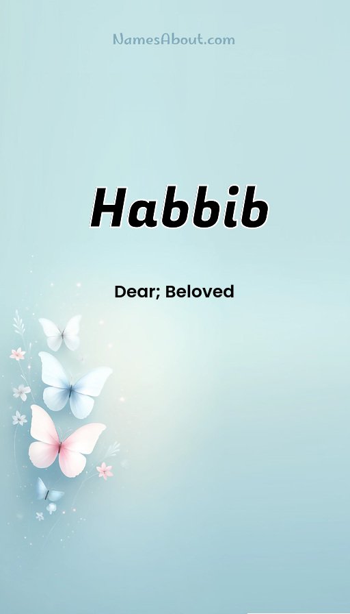 Meaning of Habbib