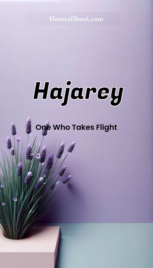 Meaning of Hajarey