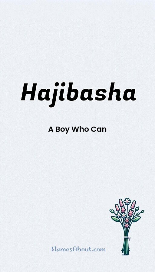 Meaning of Hajibasha