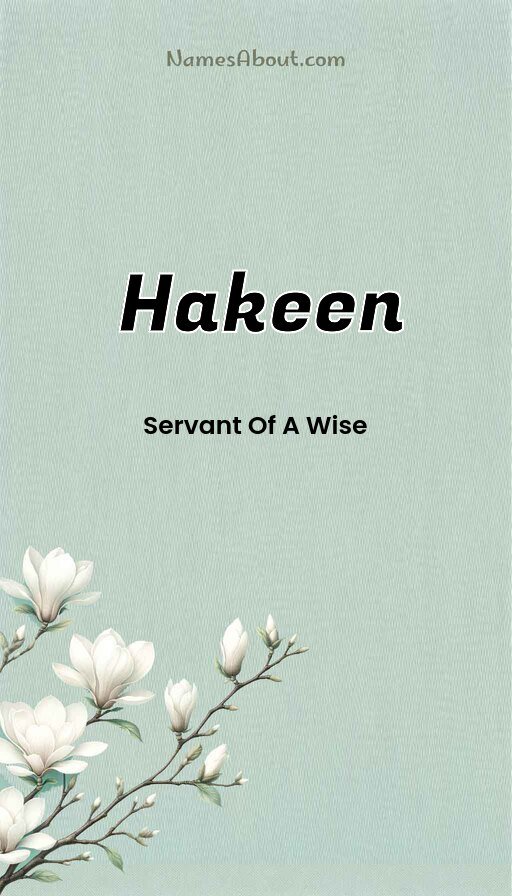 Meaning of Hakeen