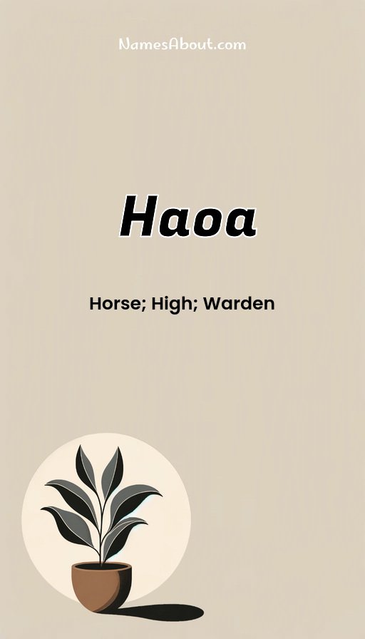 Meaning of Haoa