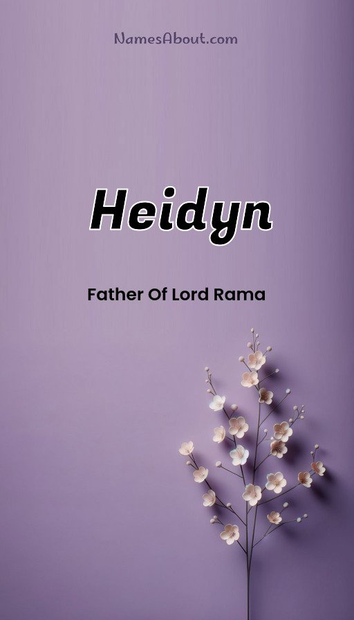 Meaning of Heidyn