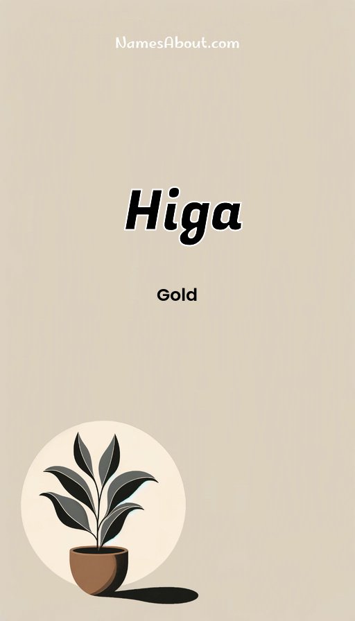 Meaning of Higa