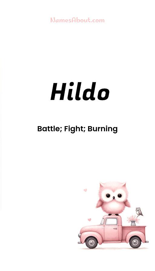 Meaning of Hildo