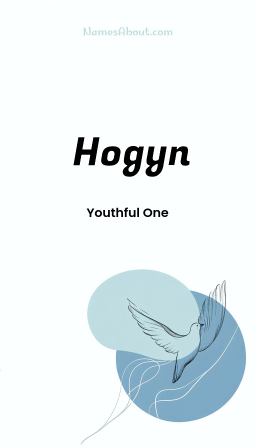 Meaning of Hogyn