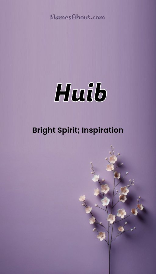 Meaning of Huib