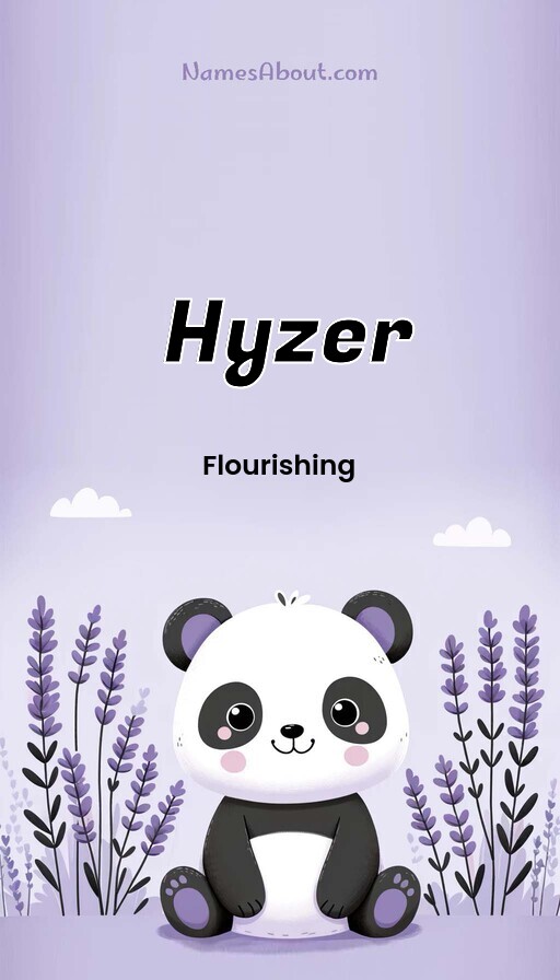 Meaning of Hyzer