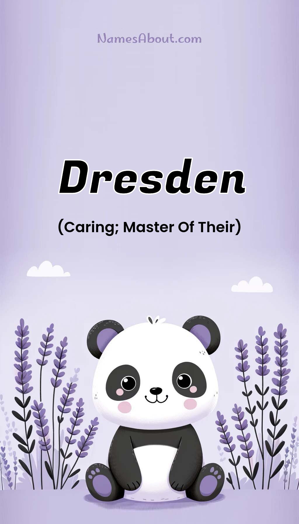 Dresden name and meaning