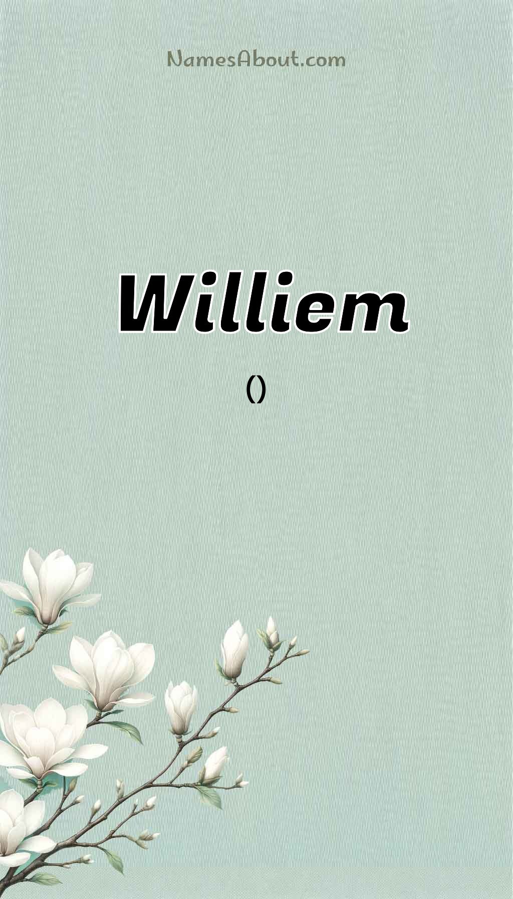 Williem name and meaning