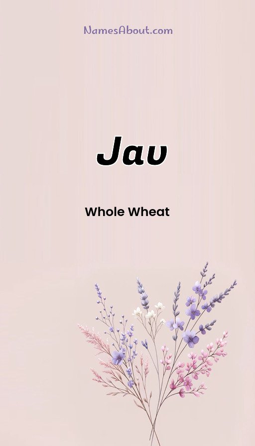 Meaning of Jav
