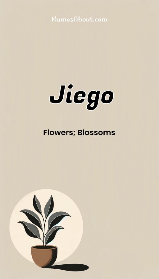 Meaning of Jiego