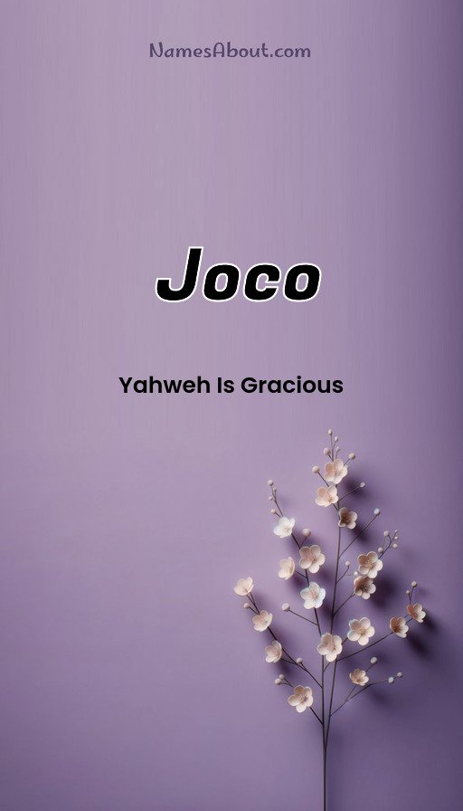 Meaning of Joco