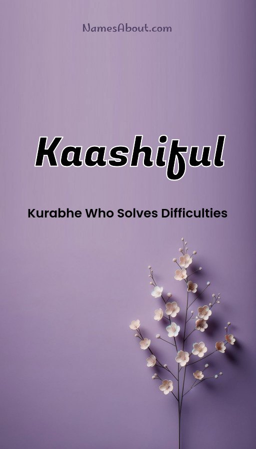 Meaning of Kaashiful