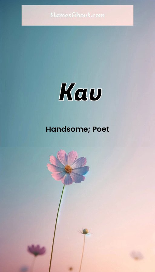 Meaning of Kav