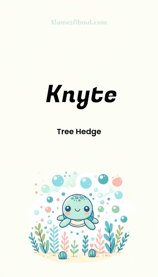 Meaning of Knyte