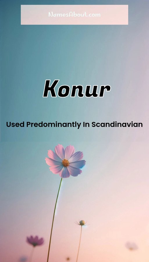 Meaning of Konur