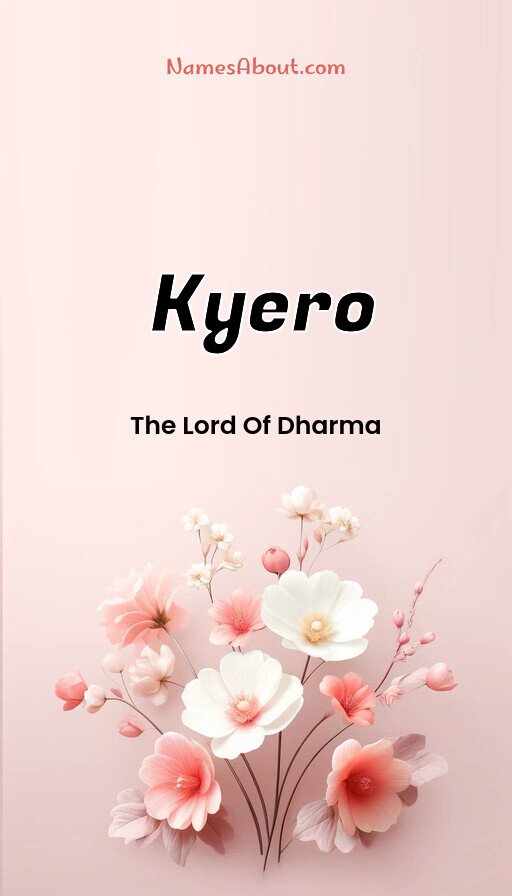 Meaning of Kyero