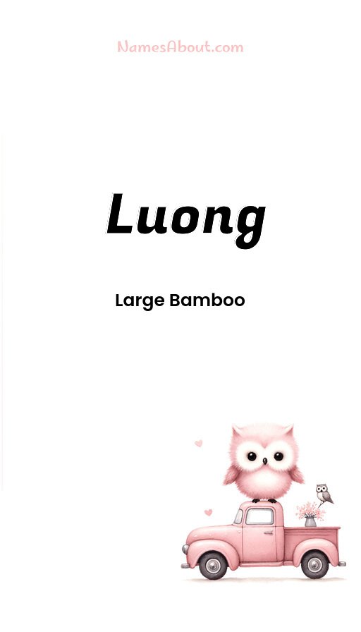 Meaning of Luong