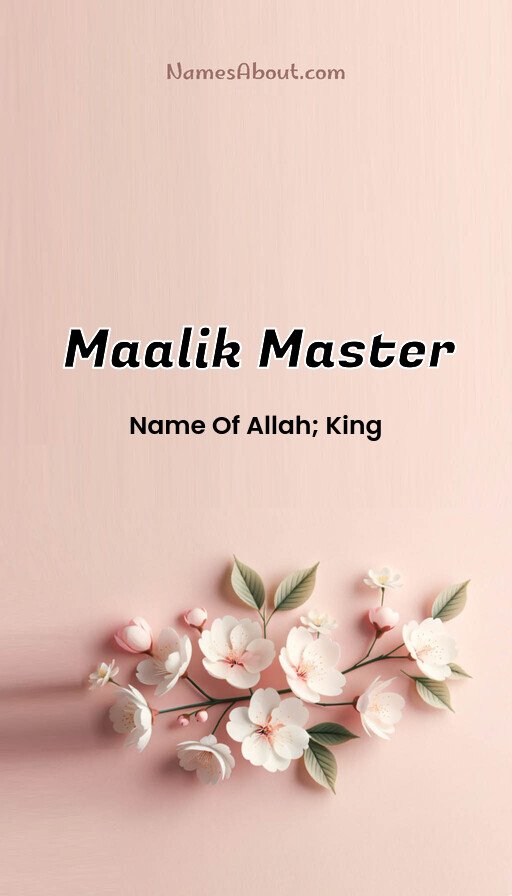 Meaning of Maalik master