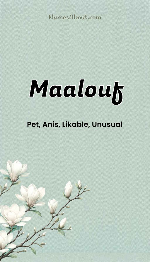 Meaning of Maalouf