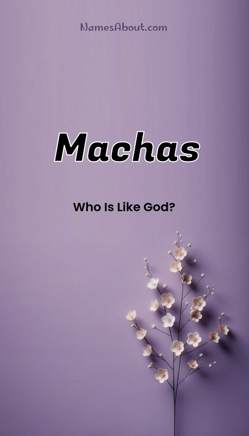 Meaning of Machas