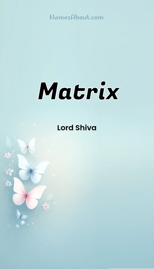 Meaning of Matrix