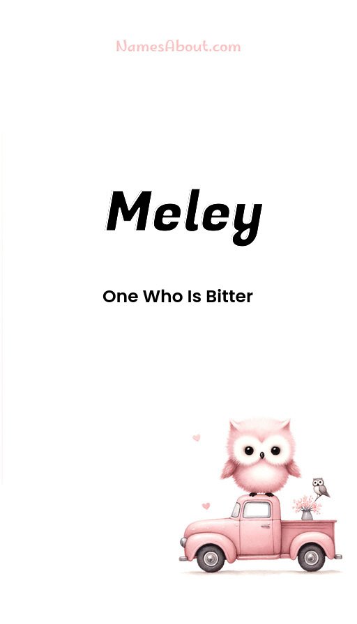 Meaning of Meley