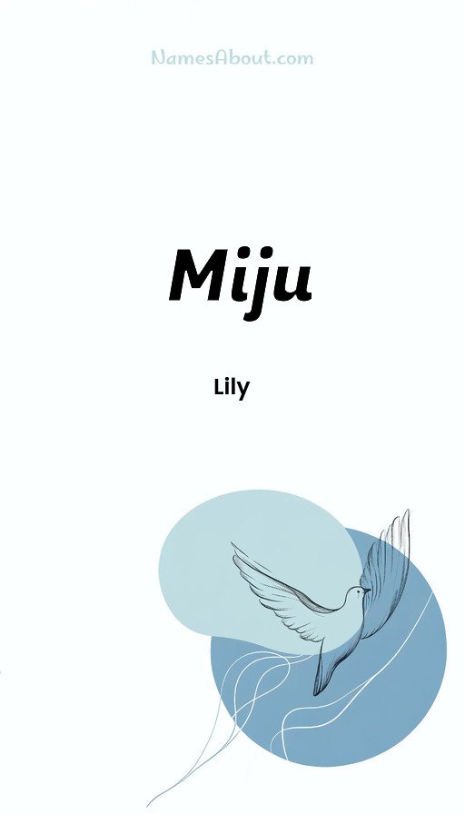 Meaning of Miju