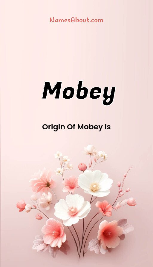Meaning of Mobey