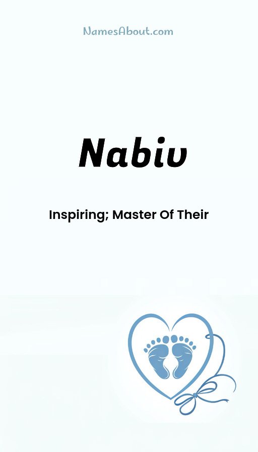 Meaning of Nabiv