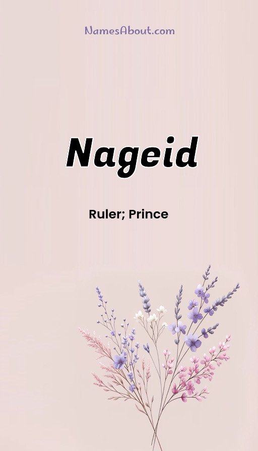 Meaning of Nageid