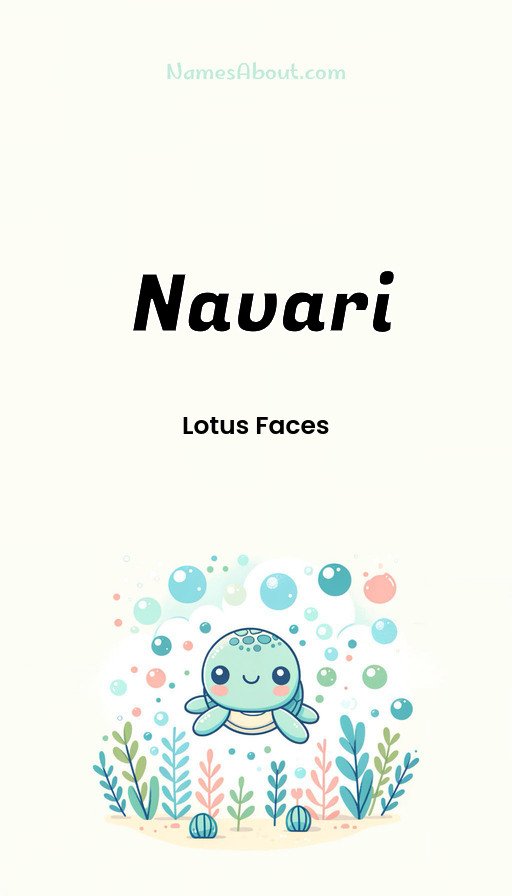 Meaning of Navari