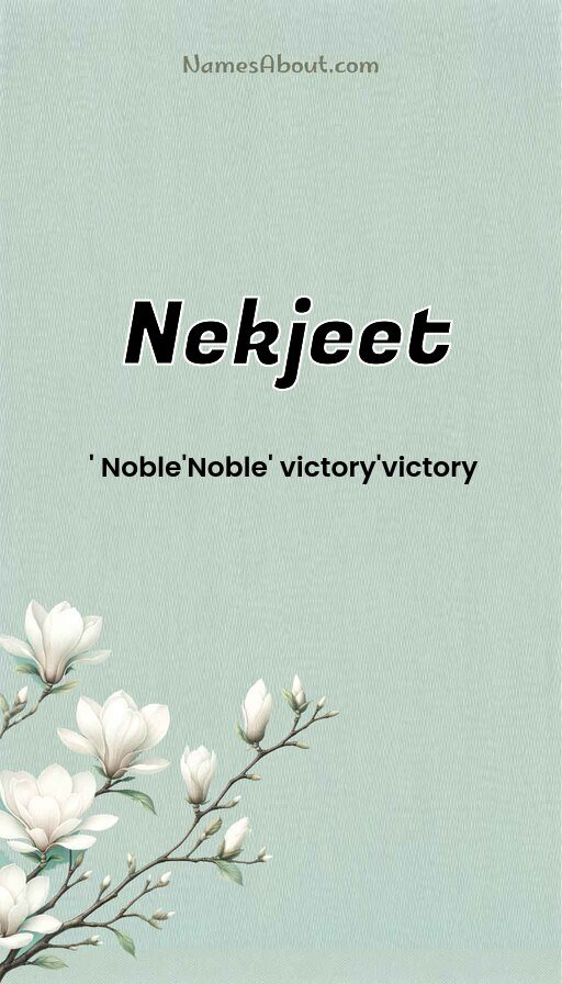 Meaning of Nekjeet