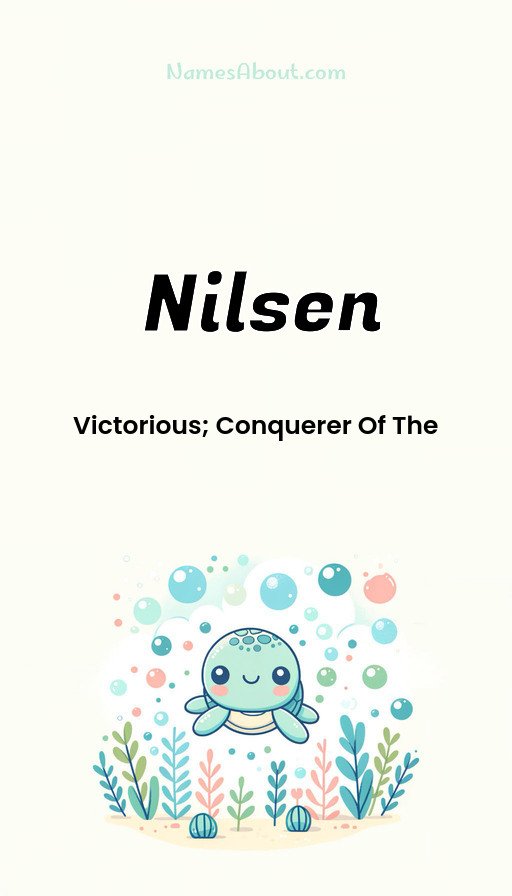 Meaning of Nilsen