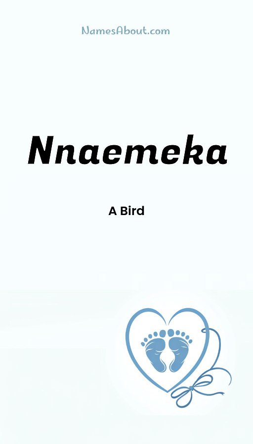 Meaning of Nnaemeka