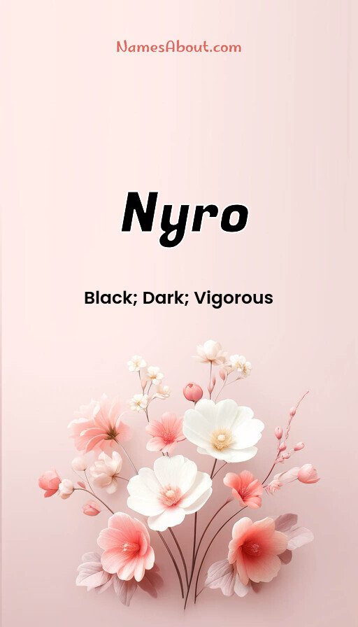 Meaning of Nyro
