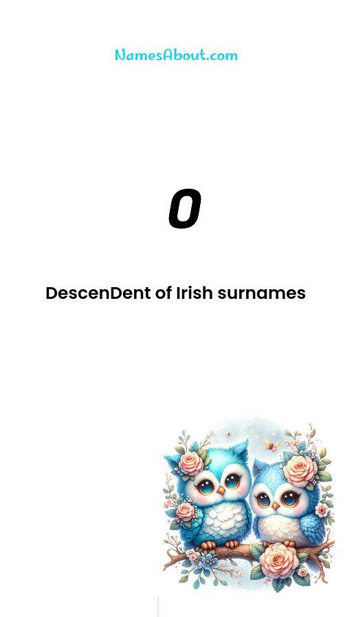 Meaning of O