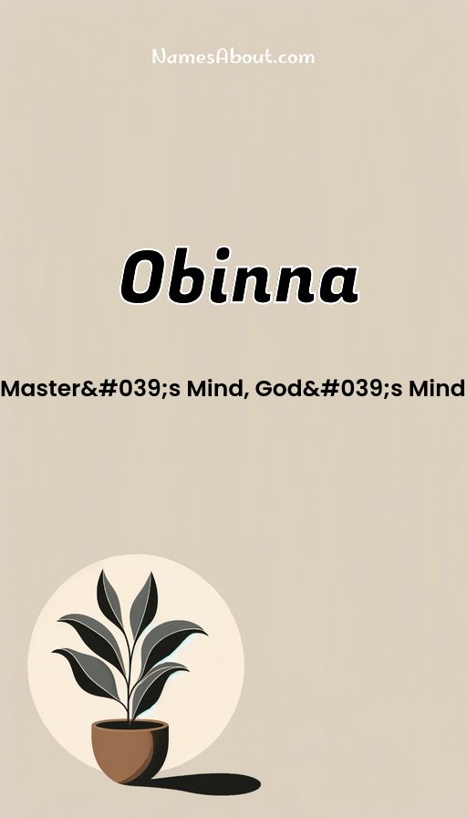 Meaning of Obinna