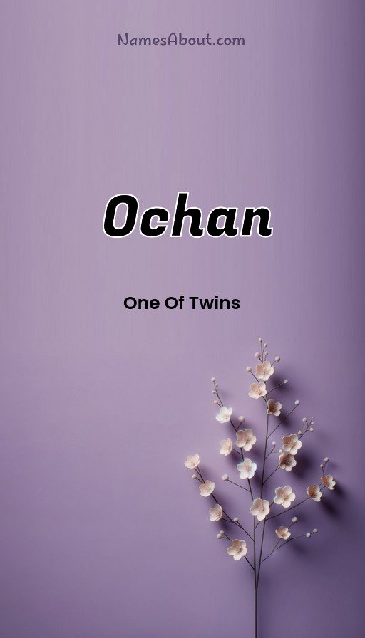 Meaning of Ochan