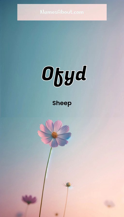 Meaning of Ofyd