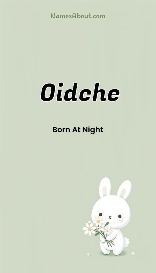 Meaning of Oidche